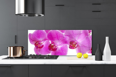 Kitchen Splashback Flowers floral pink