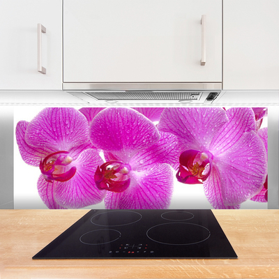 Kitchen Splashback Flowers floral pink