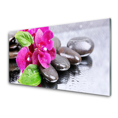 Kitchen Splashback Flower stones floral red black