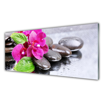 Kitchen Splashback Flower stones floral red black