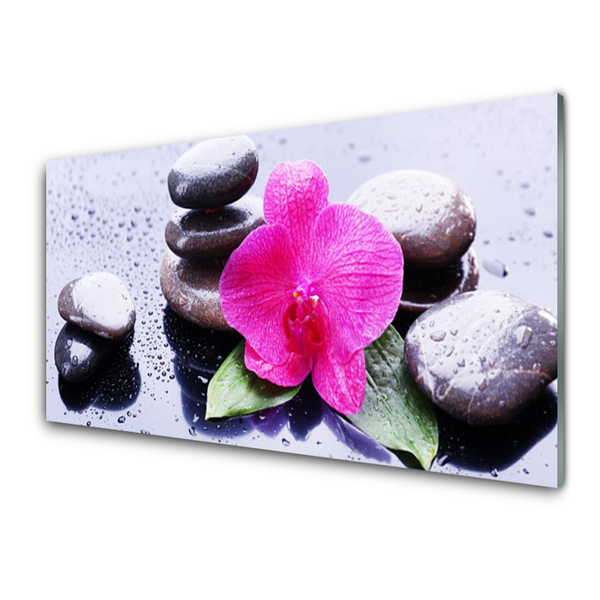 Kitchen Splashback Flower stones art red black