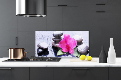 Kitchen Splashback Flower stones art red black