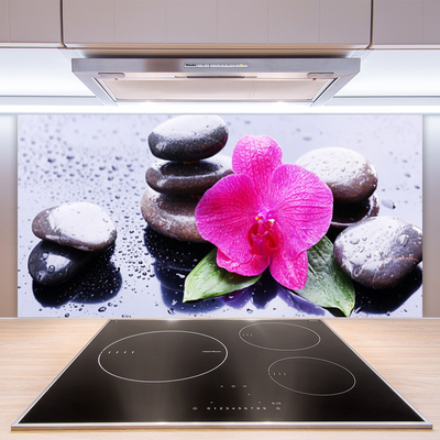 Kitchen Splashback Flower stones art red black