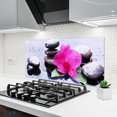 Kitchen Splashback Flower stones art red black