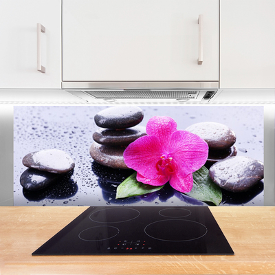 Kitchen Splashback Flower stones art red black