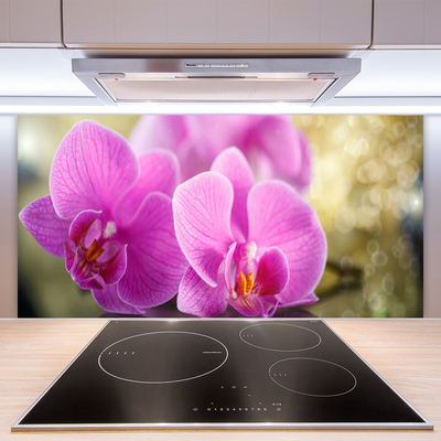 Kitchen Splashback Flowers floral pink