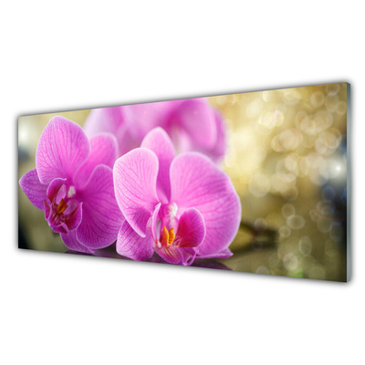 Kitchen Splashback Flowers floral pink