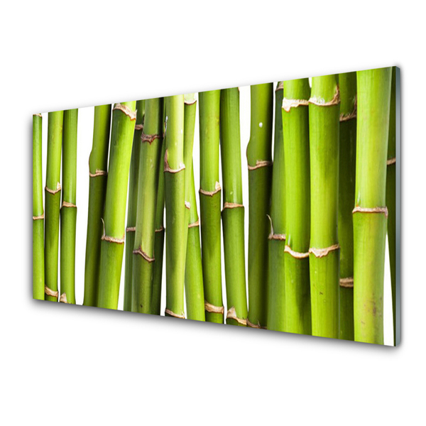 Kitchen Splashback Bamboo canes floral green