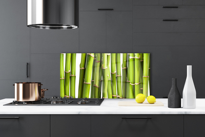 Kitchen Splashback Bamboo canes floral green