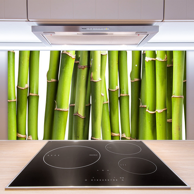 Kitchen Splashback Bamboo canes floral green