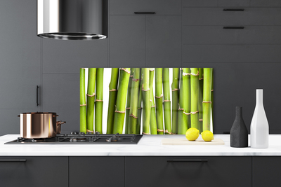 Kitchen Splashback Bamboo canes floral green