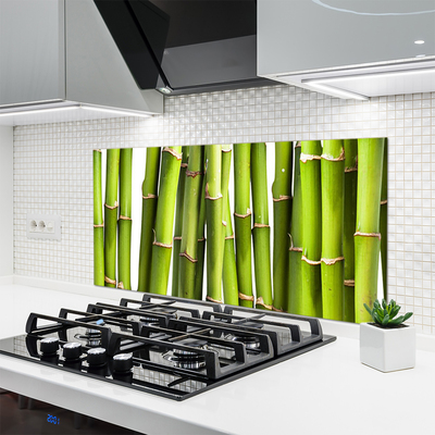 Kitchen Splashback Bamboo canes floral green