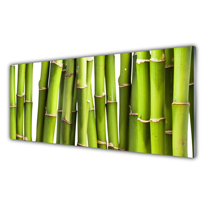 Kitchen Splashback Bamboo canes floral green