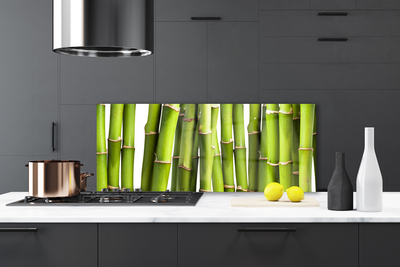 Kitchen Splashback Bamboo canes floral green