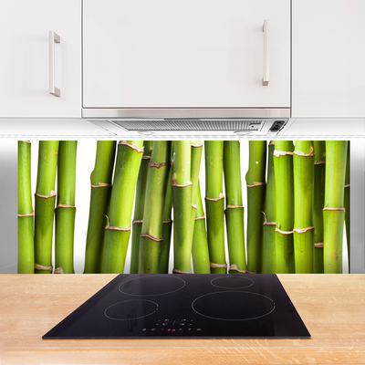 Kitchen Splashback Bamboo canes floral green