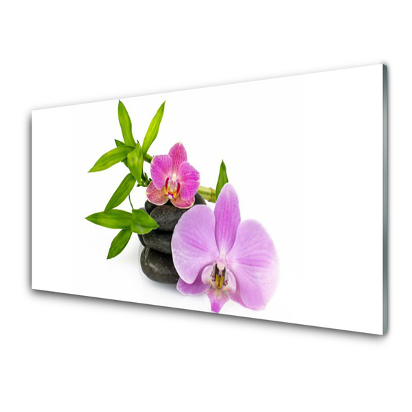 Kitchen Splashback Flower stones floral pink black