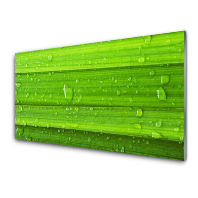 Kitchen Splashback Grass nature green