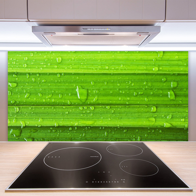 Kitchen Splashback Grass nature green