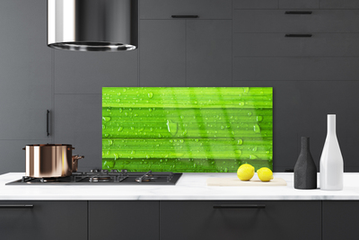 Kitchen Splashback Grass nature green