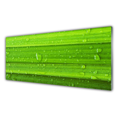 Kitchen Splashback Grass nature green