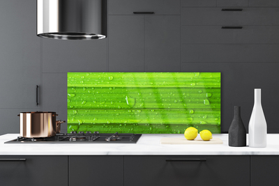 Kitchen Splashback Grass nature green