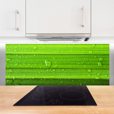 Kitchen Splashback Grass nature green