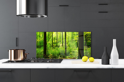 Kitchen Splashback Forest nature brown green