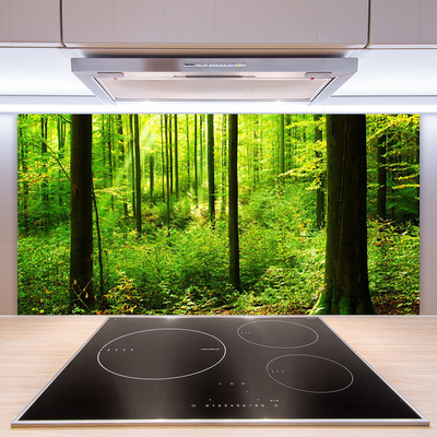 Kitchen Splashback Forest nature brown green