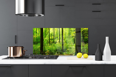 Kitchen Splashback Forest nature brown green