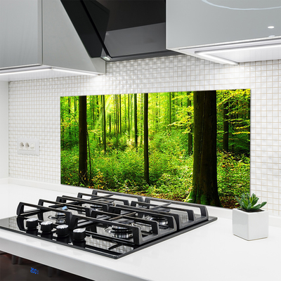 Kitchen Splashback Forest nature brown green