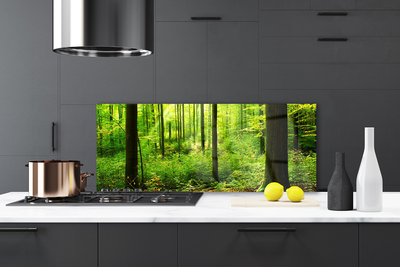 Kitchen Splashback Forest nature brown green