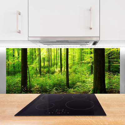 Kitchen Splashback Forest nature brown green