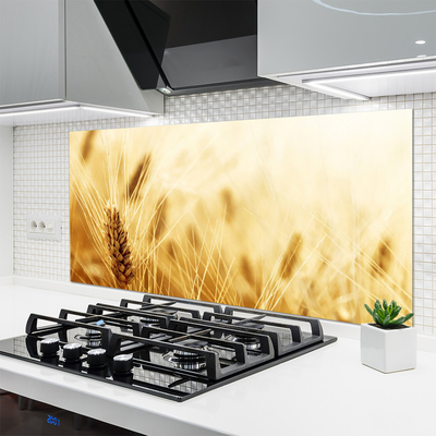 Kitchen Splashback Wheat floral yellow