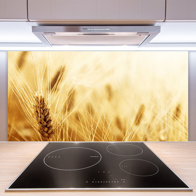 Kitchen Splashback Wheat floral yellow