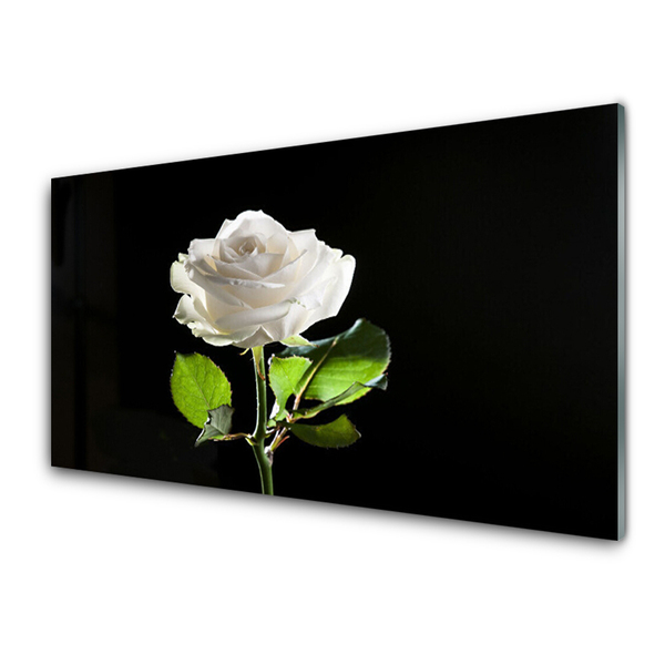 Kitchen Splashback Rose floral white