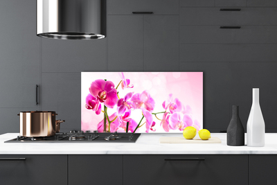 Kitchen Splashback Flowers floral pink