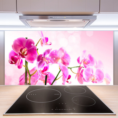 Kitchen Splashback Flowers floral pink