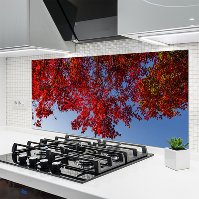 Kitchen Splashback Branches leaves floral brown