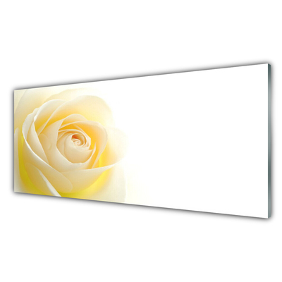 Kitchen Splashback Rose floral white yellow