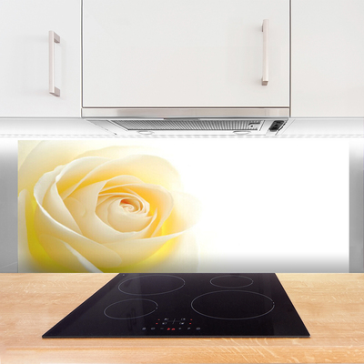 Kitchen Splashback Rose floral white yellow