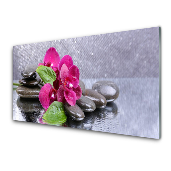 Kitchen Splashback Flower stones art red black