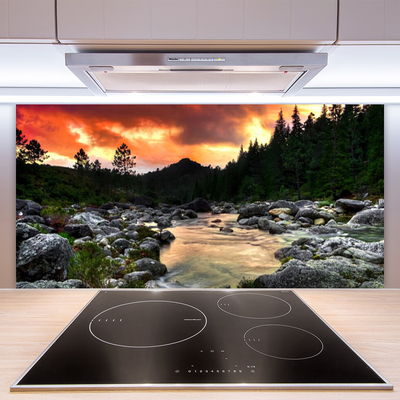 Kitchen Splashback Lake stones forest nature green grey yellow