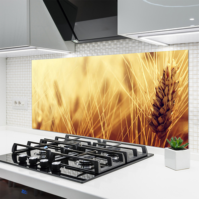 Kitchen Splashback Wheat floral brown