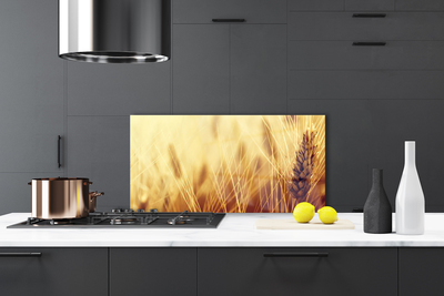 Kitchen Splashback Wheat floral brown