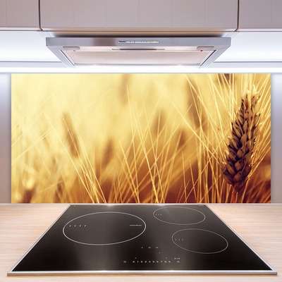 Kitchen Splashback Wheat floral brown