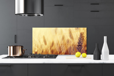 Kitchen Splashback Wheat floral brown