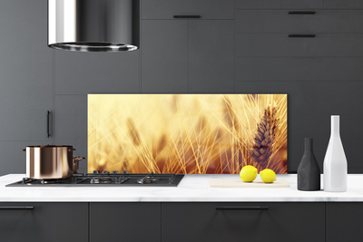 Kitchen Splashback Wheat floral brown