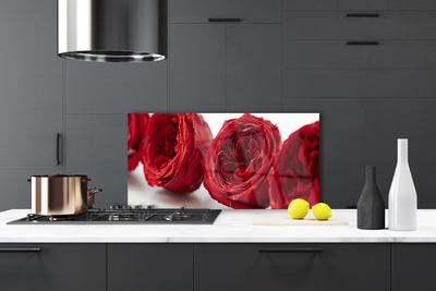 Kitchen Splashback Roses floral red