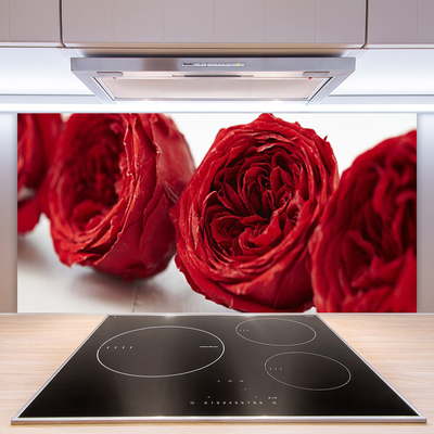 Kitchen Splashback Roses floral red