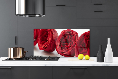 Kitchen Splashback Roses floral red